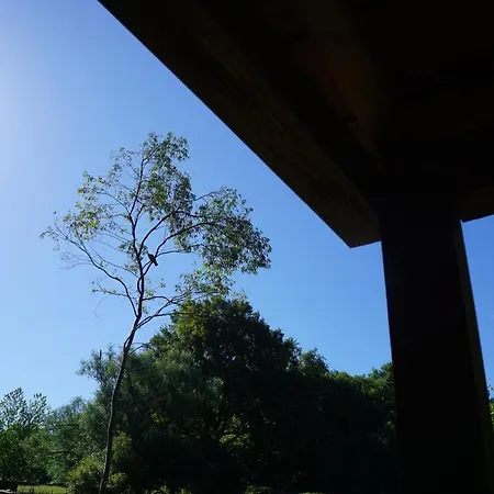 Campsite Chalet Nature *